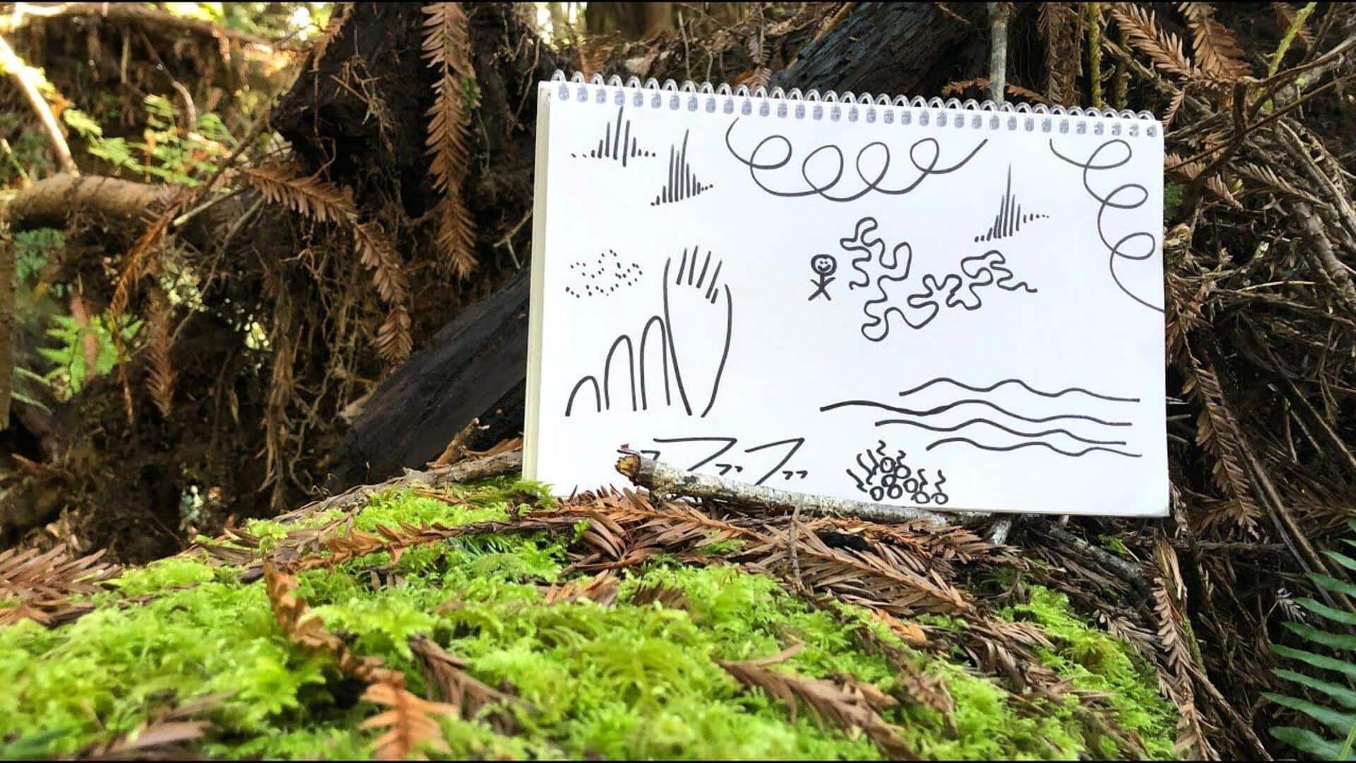 Nature sound mapping: All about this self-care practice