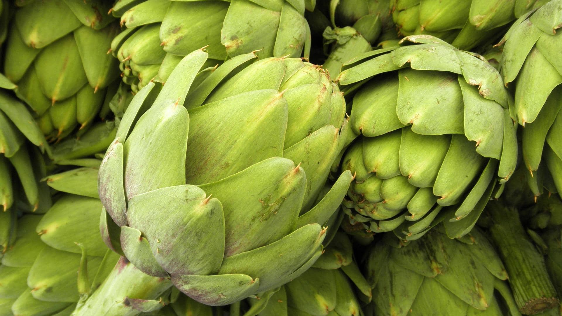 National Artichoke Day: Know the awesome benefits of this veggie
