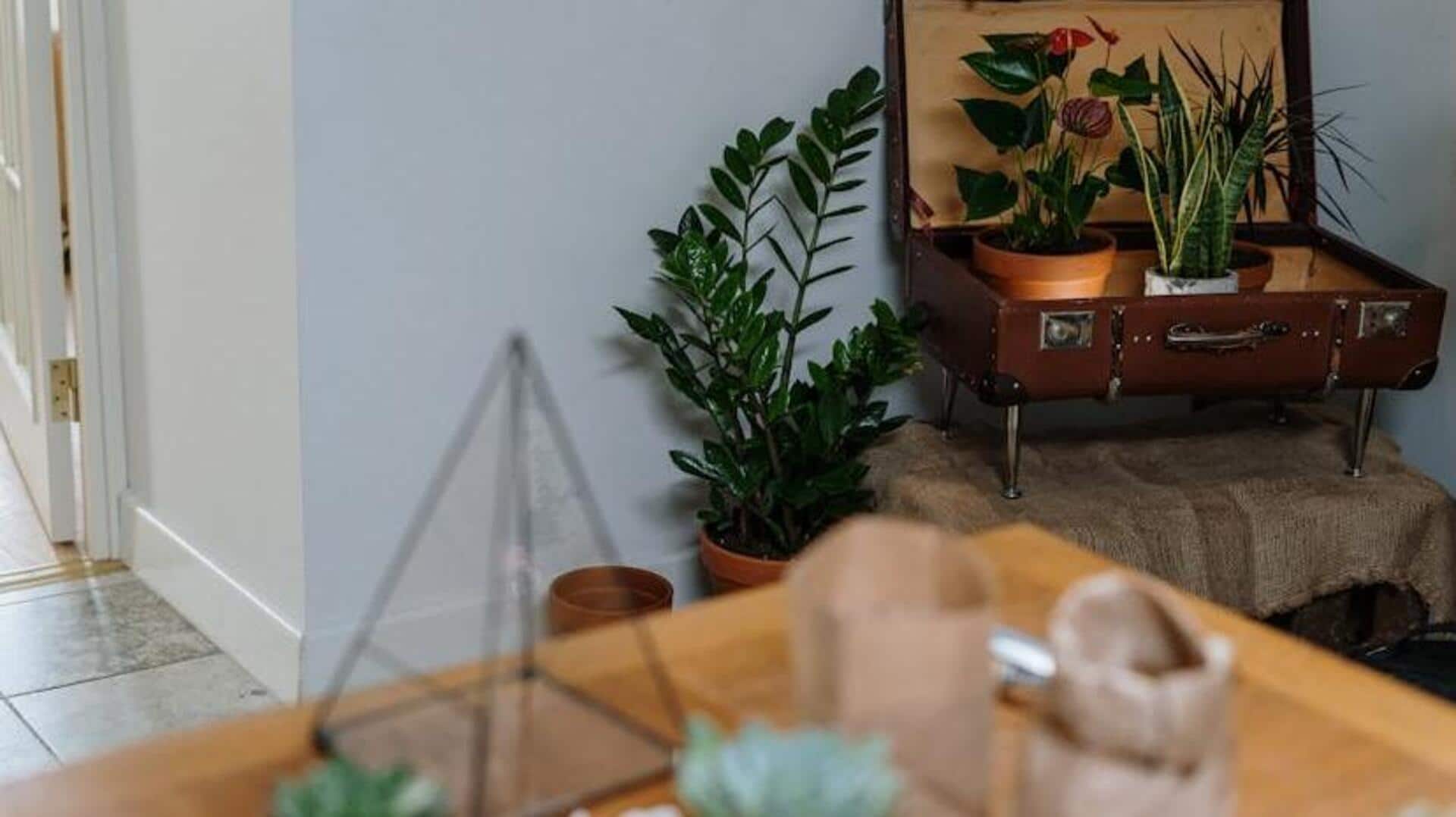 Turn vintage suitcases into decor pieces, and thank us later! Turn vintage suitcases into decor pieces, and thank us later!