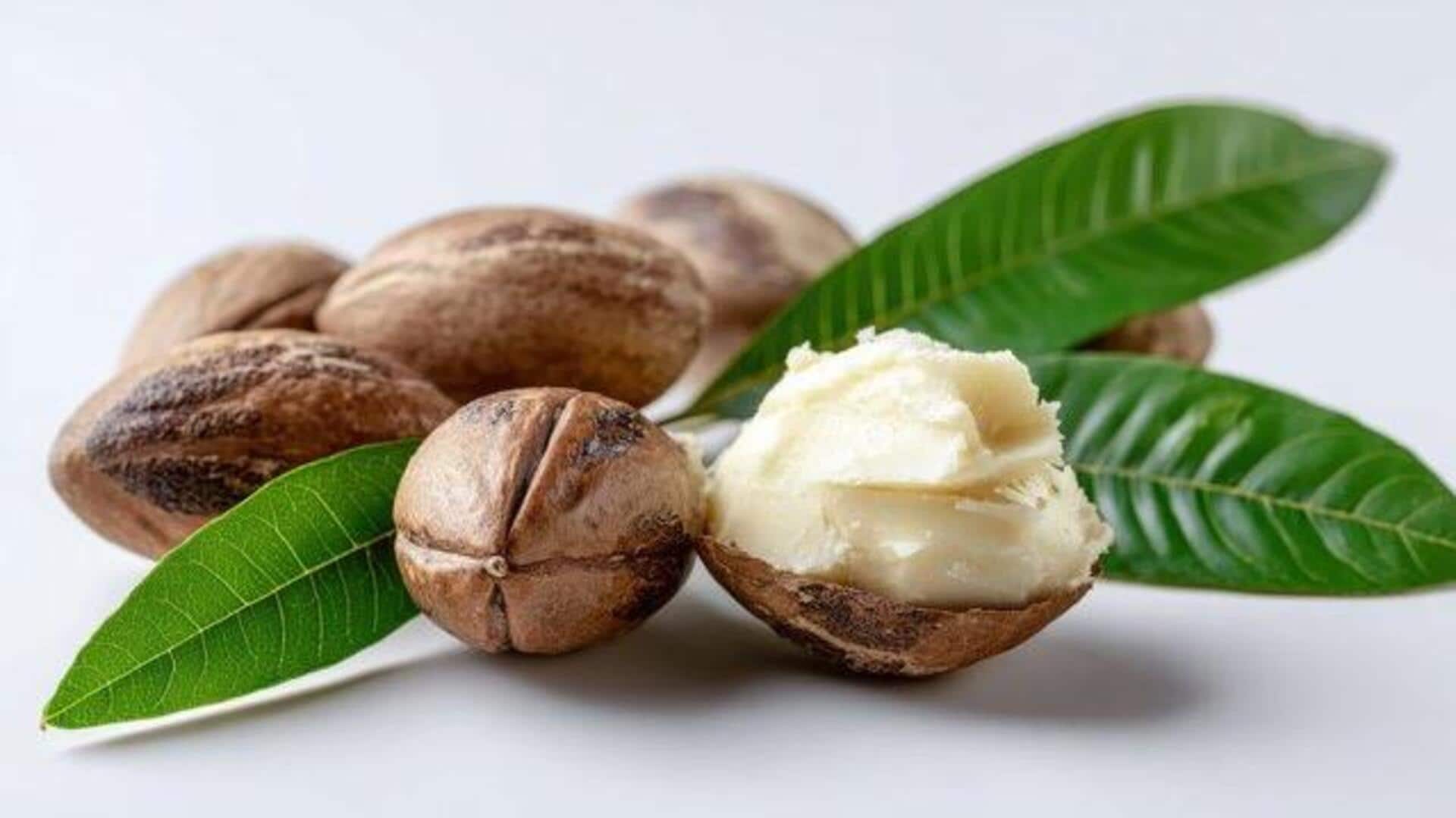 Why shea nuts are gaining popularity 
