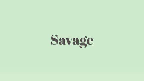 Word of the Day: Savage