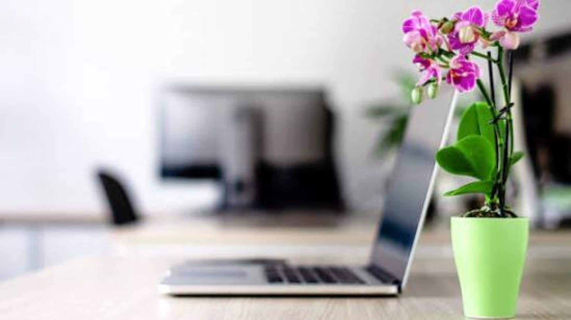 Want a prettier study desk? Add these flowering plants