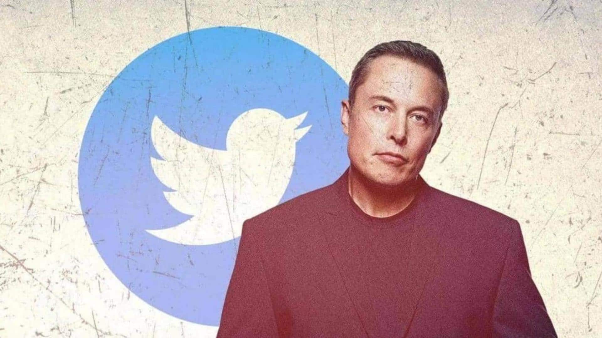 Twitter bans impersonation as Elon Musk parody accounts flood platform