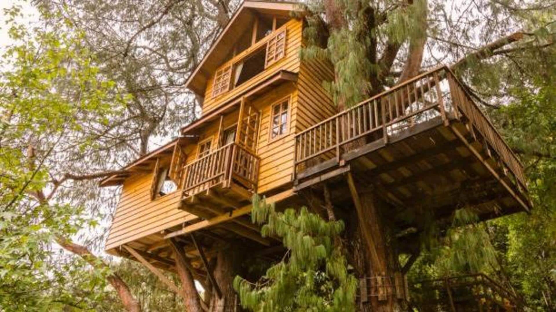 India's unique jungle stays for nature lovers India's unique jungle stays for nature lovers