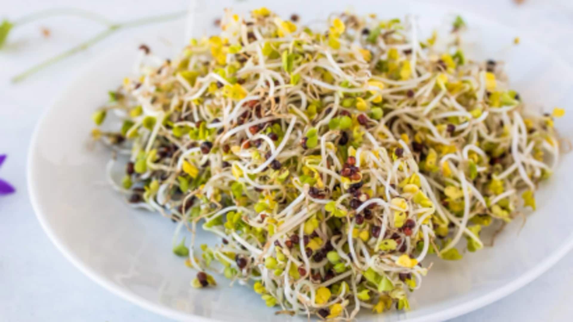 Why you must add broccoli sprouts to your diet Why you must add broccoli sprouts to your diet