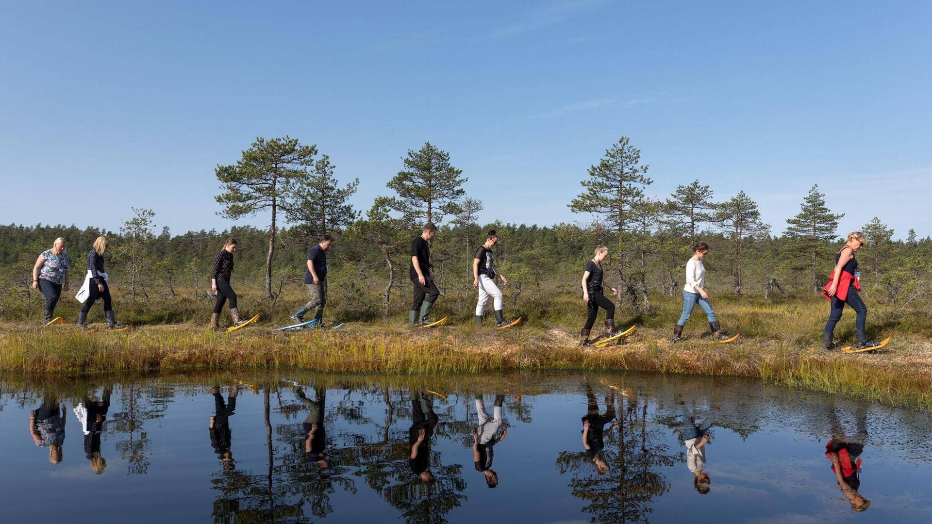 Estonia's bog-shoeing trails: A unique adventure