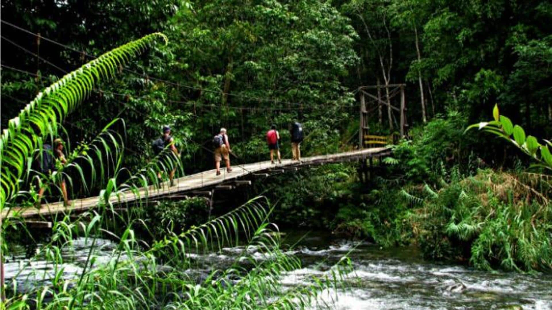 Essential packing list for Borneo jungle trekking