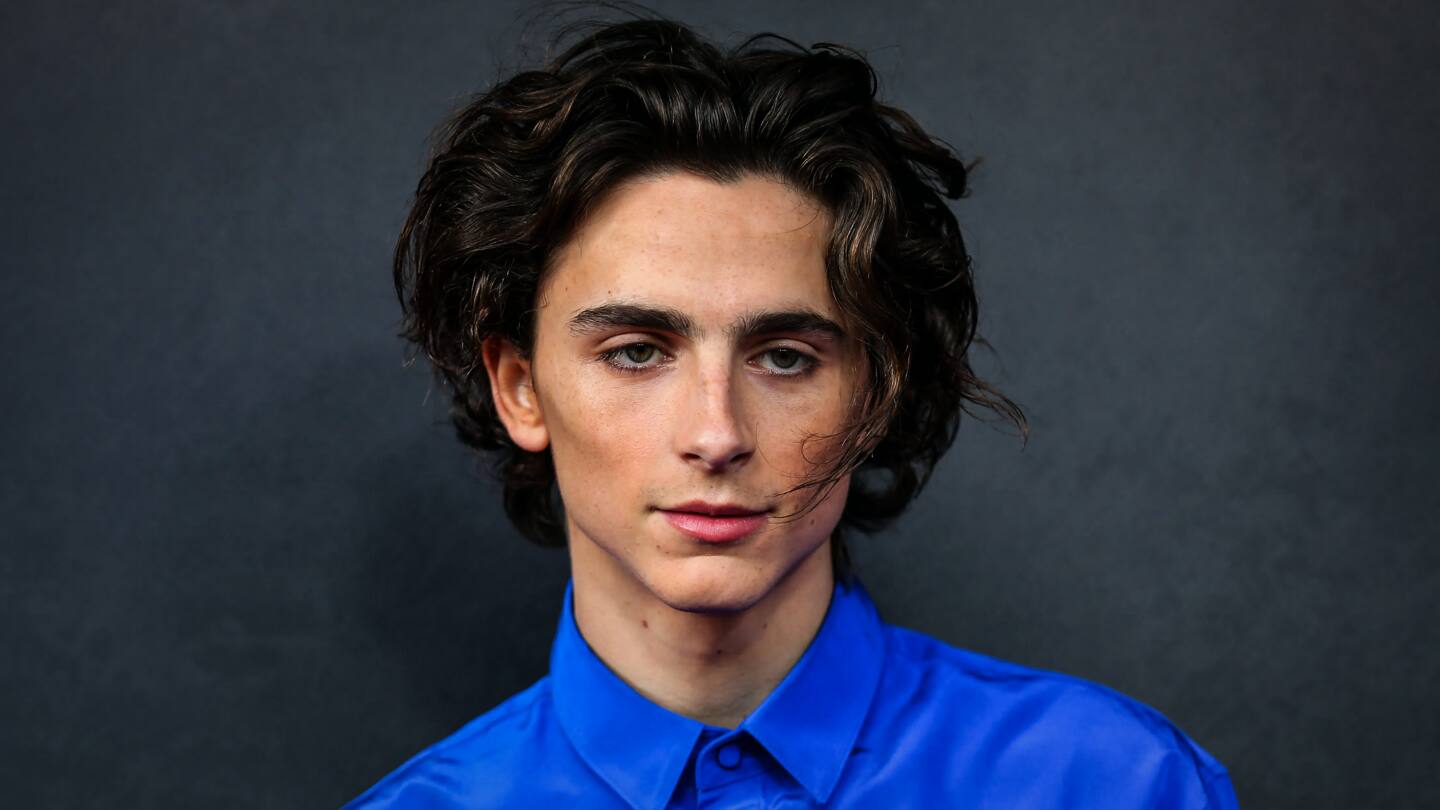 Current favorite, Timothee Chalamet, tapped to play young Willy Wonka