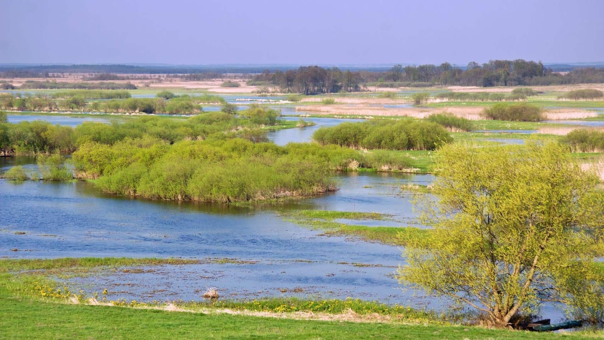 Poland on your mind? Read on