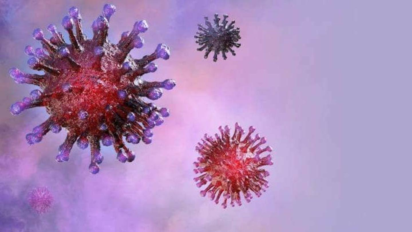 All infected patients have since recovered, official says All infected patients have since recovered, official says