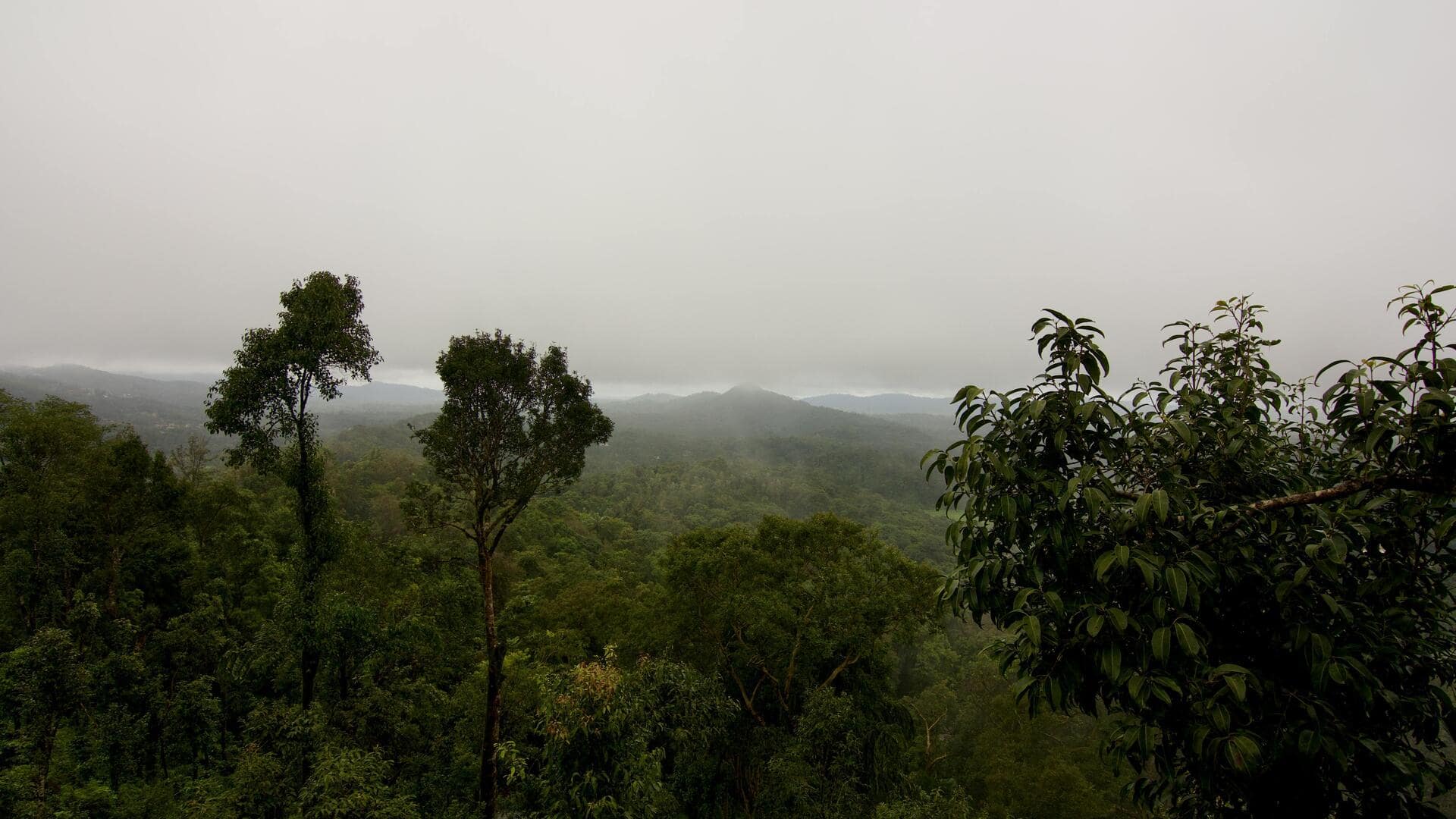 Experience Coorg like a local with this 7-day travel plan