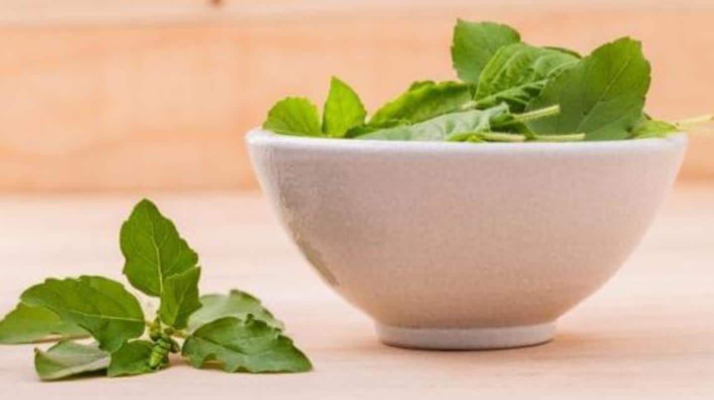 Tulsi: Benefits of the holy basil on skin and hair