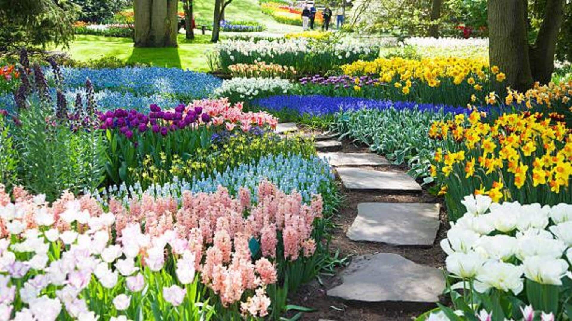 Europe's most beautiful flower festivals: A list 