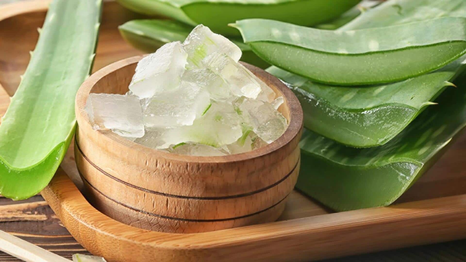 How to use aloe vera to treat burns