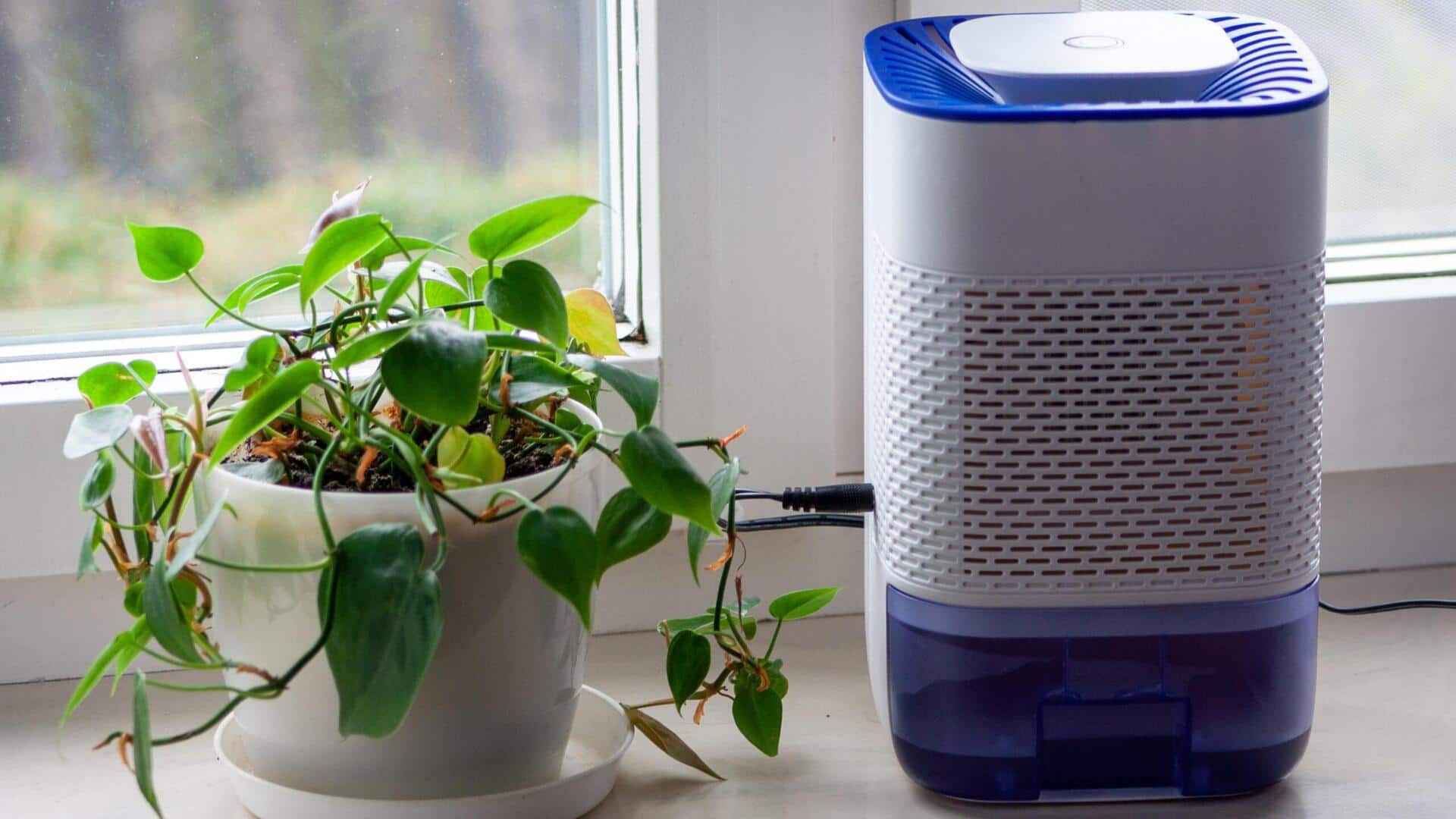 How to purify indoor air (on a budget)