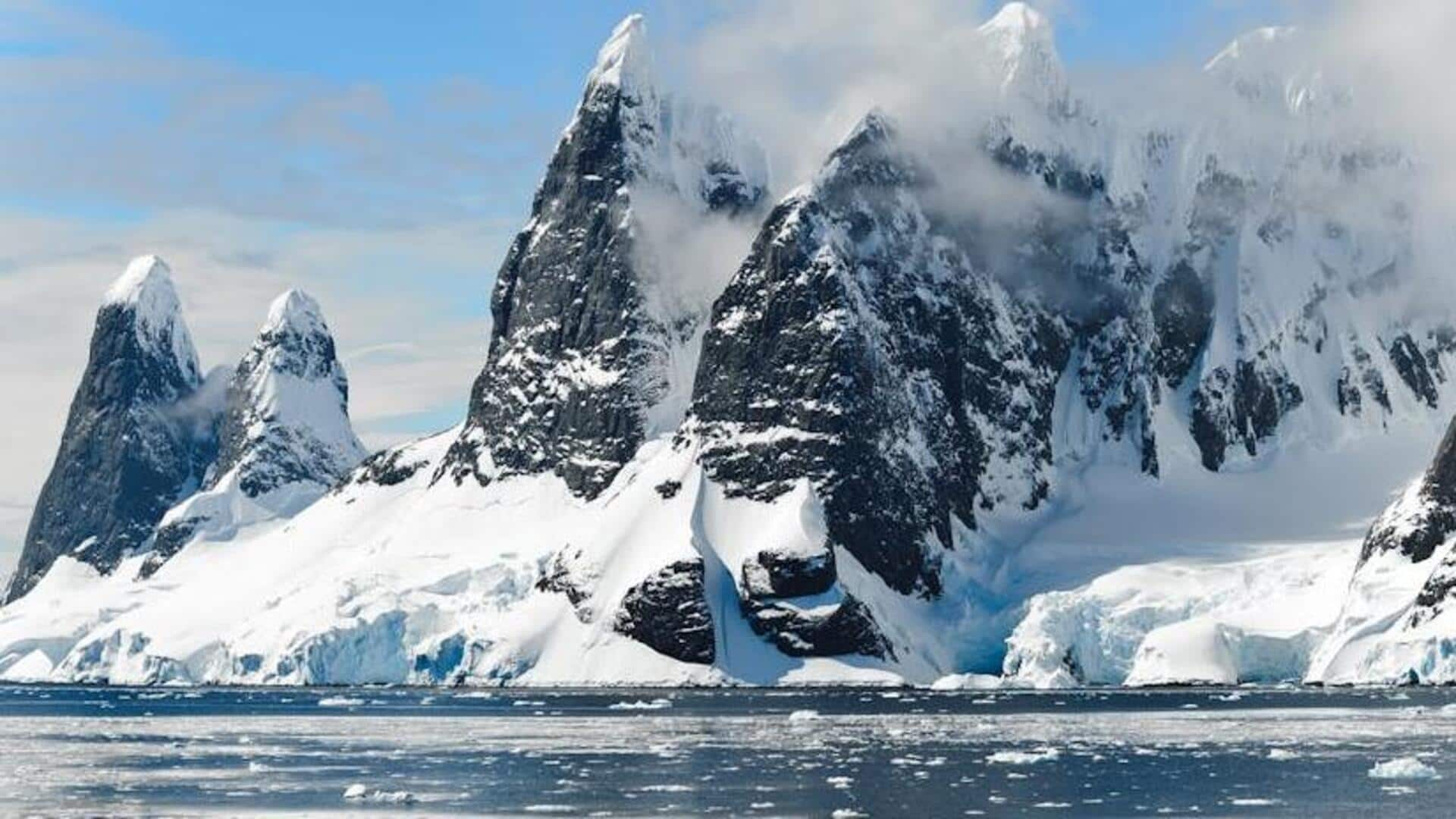 Antarctica: A frozen paradise or an overpriced journey?