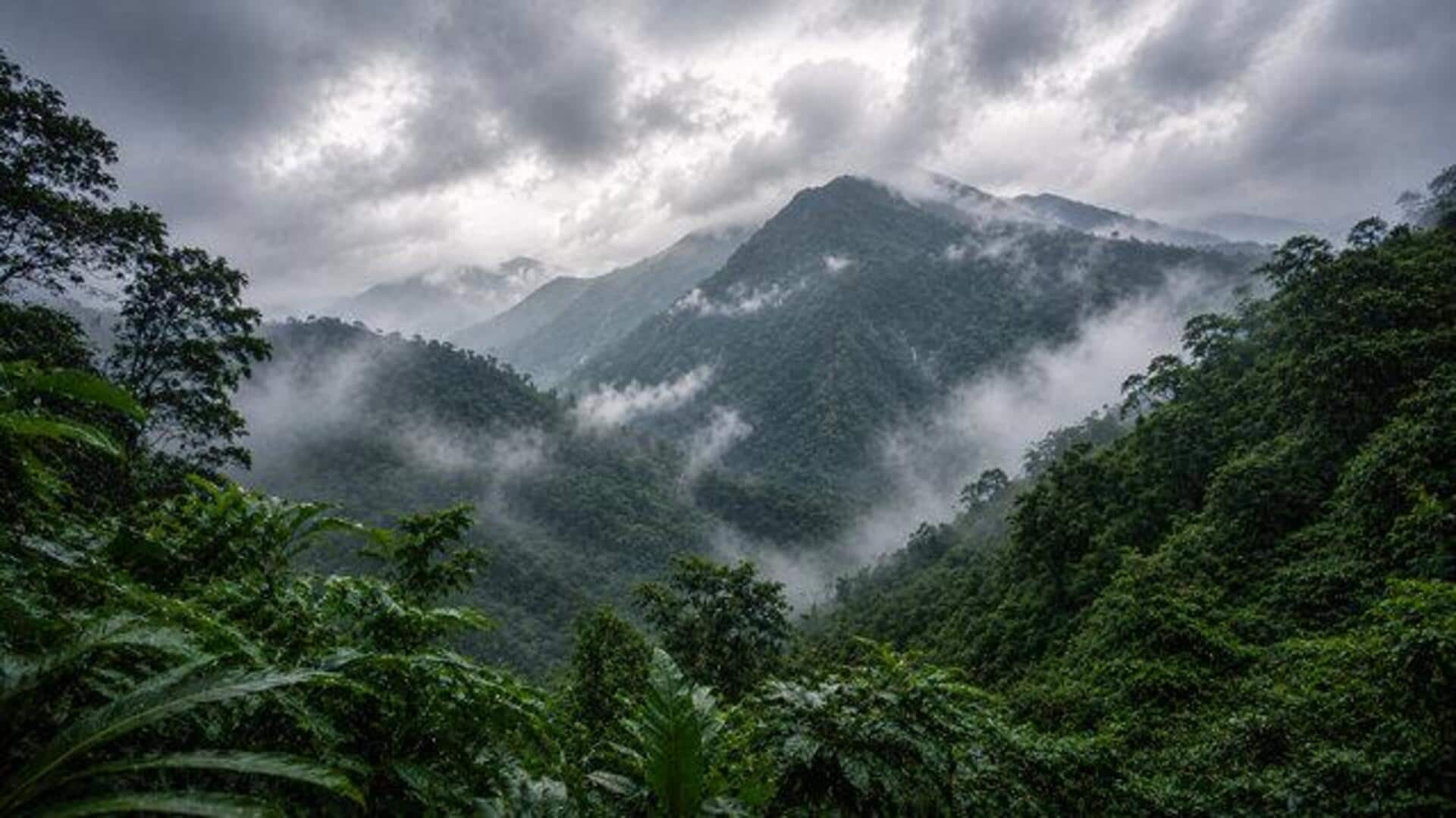 Bwindi Impenetrable Forest: A UNESCO site worth exploring