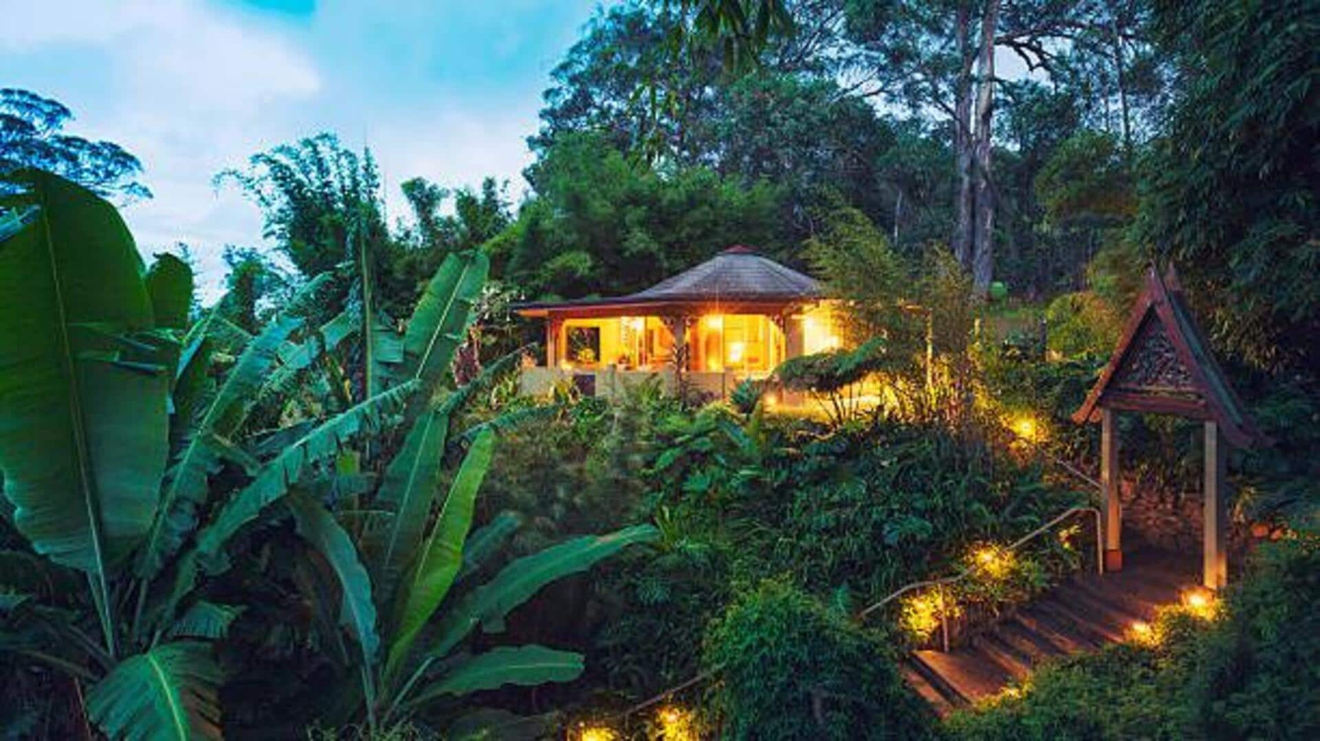 Jungle retreats: The hottest trend in sustainable travel 