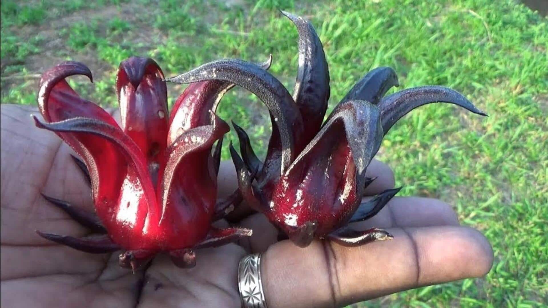 African sorrel: 5 recipes featuring the leafy greens