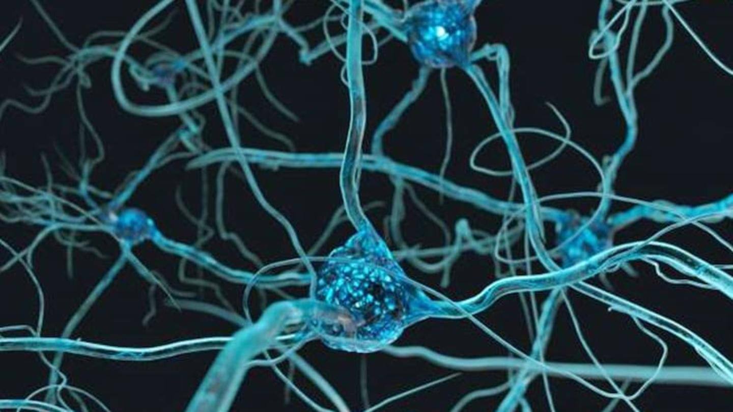 Guillain-Barre can be triggered by several infections Guillain-Barre can be triggered by several infections