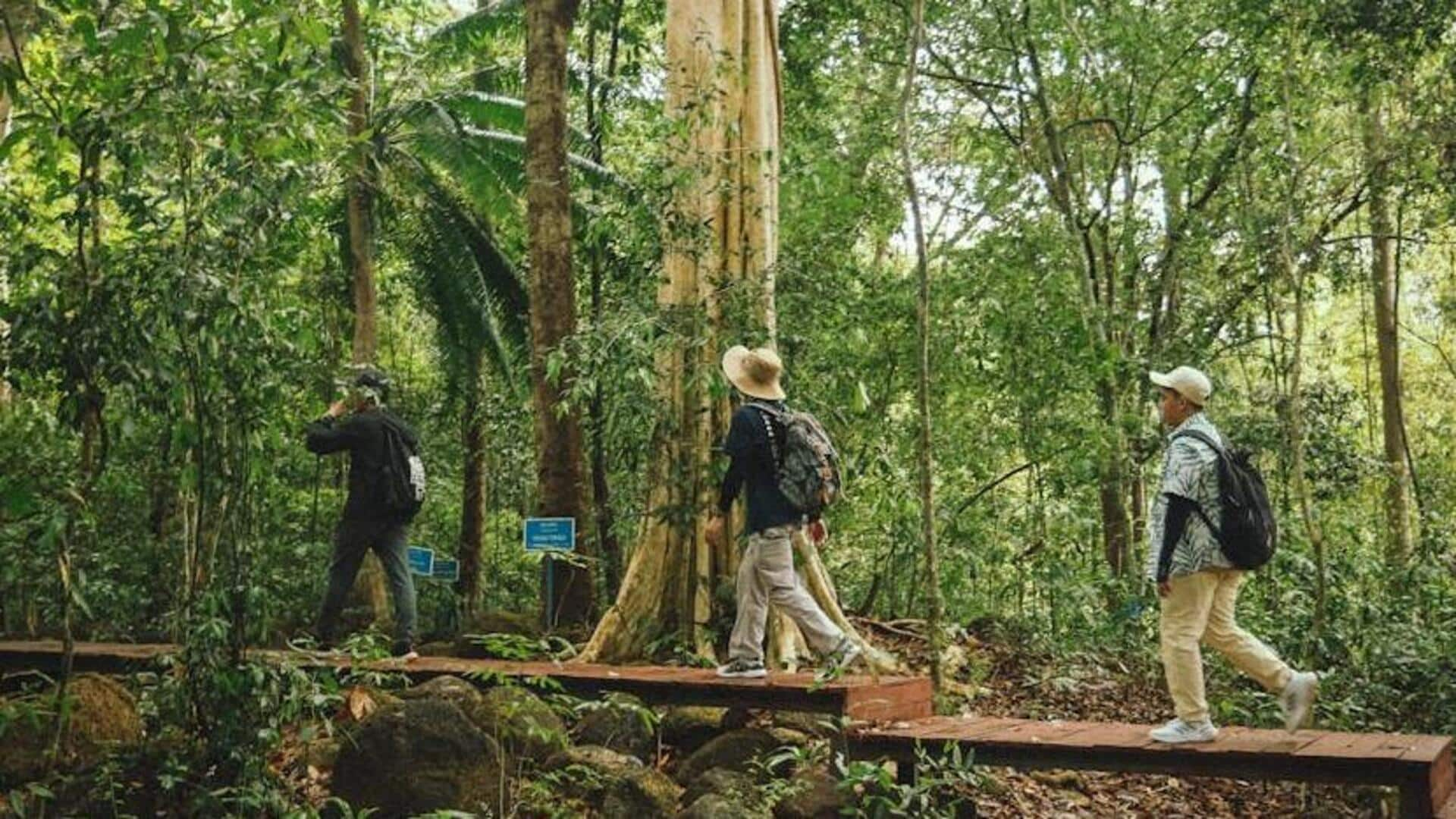 Go for these enchanting forest walks near Edinburgh