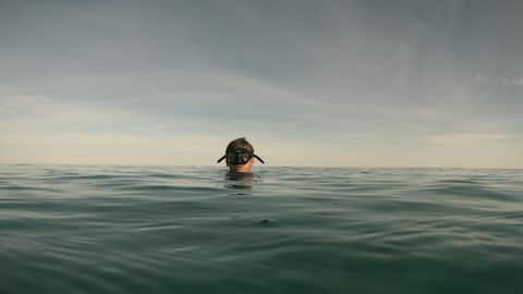 5 surprising health benefits of bog snorkeling