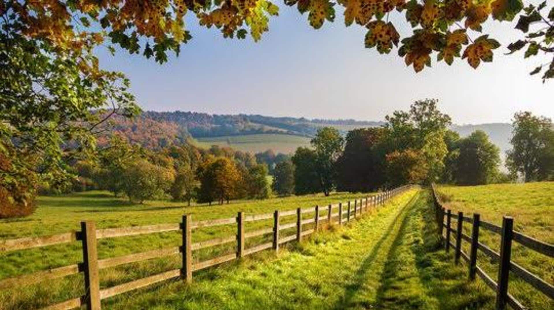 Visiting Latvia? Relax in the scenic countryside