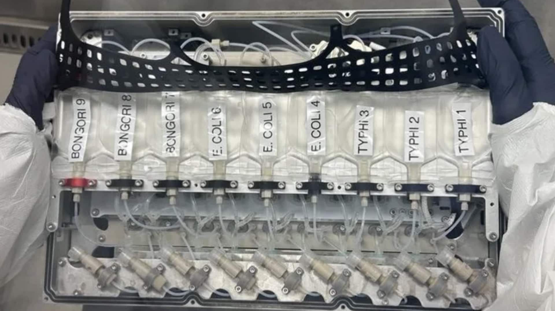 NASA's Crew-11 mission to study how bacteria behave in microgravity NASA's Crew-11 mission to study how bacteria behave in microgravity