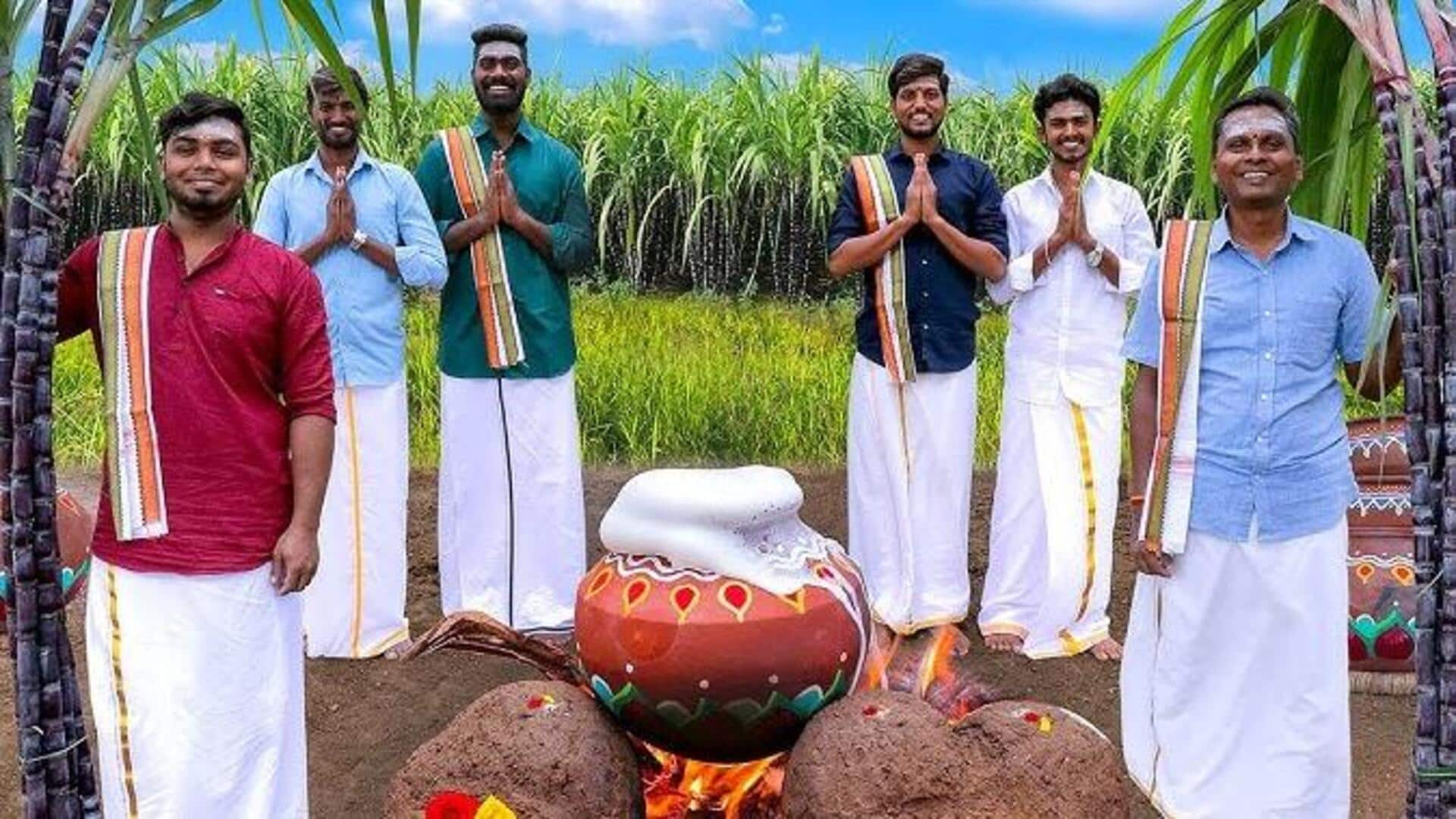 The spirited stir of Pongal's harvest celebration