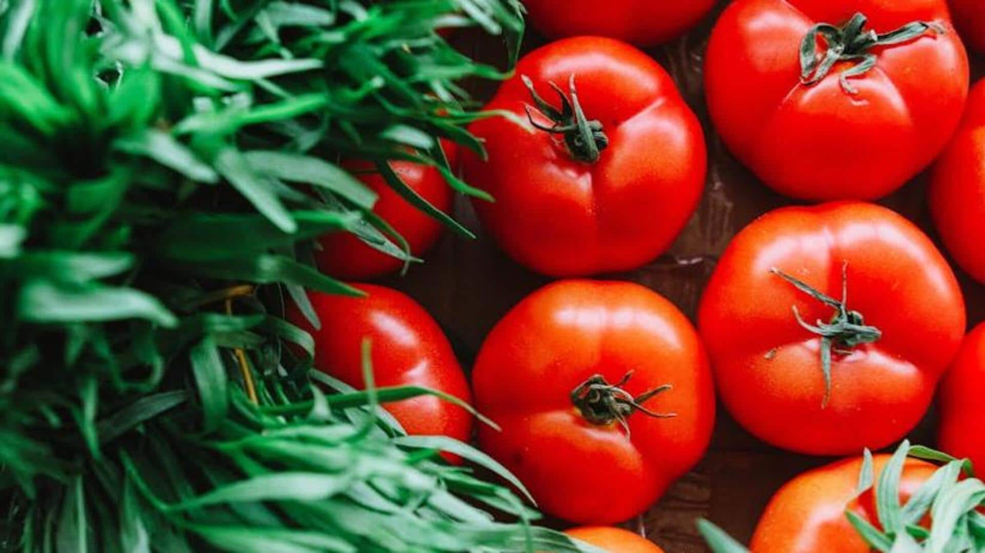 Strategies for bountiful tomato harvests