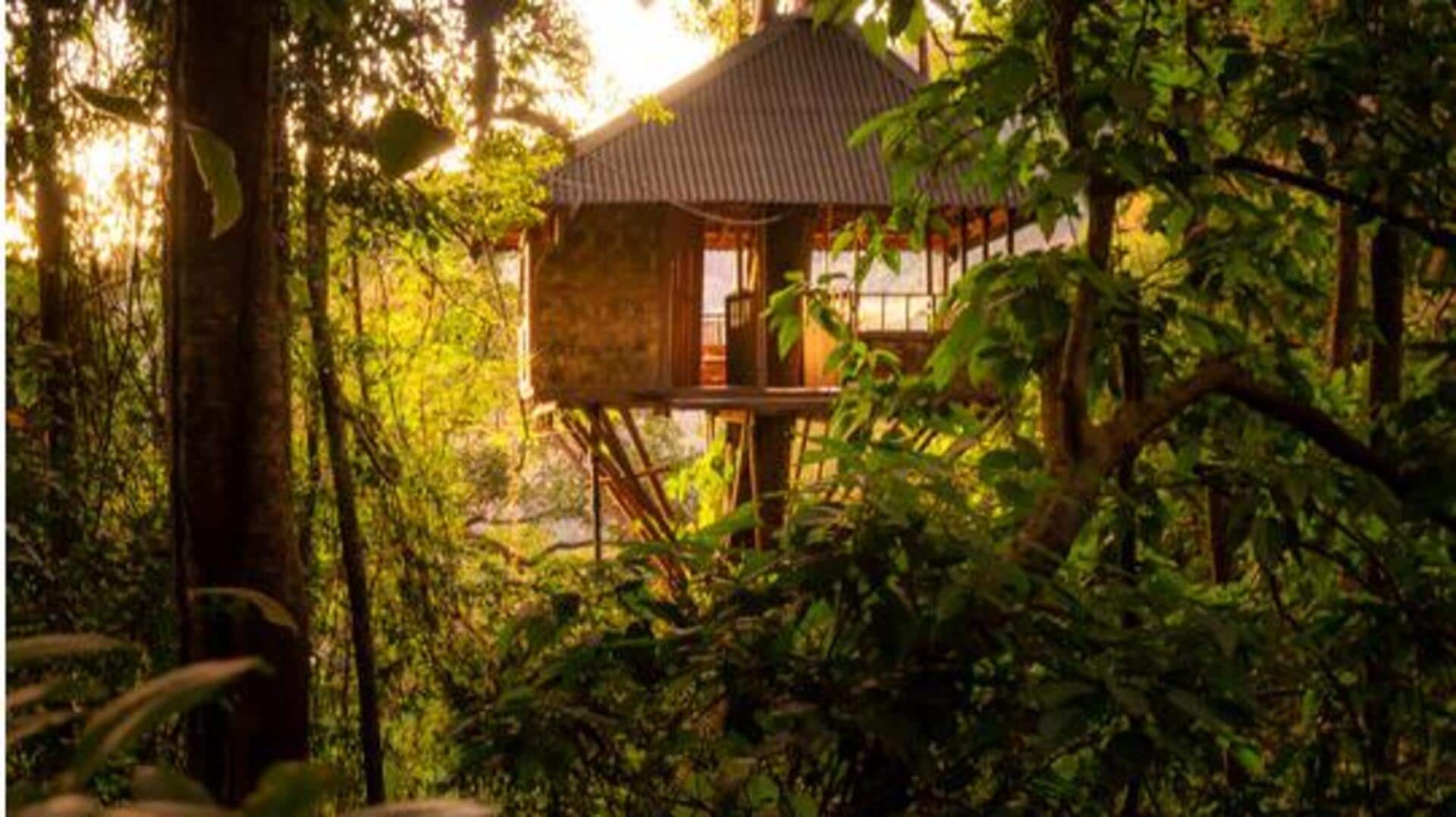 World's best treetop cabin getaways: A list World's best treetop cabin getaways: A list