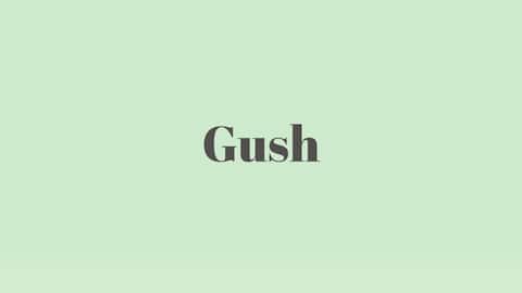 Word of the Day: Gush