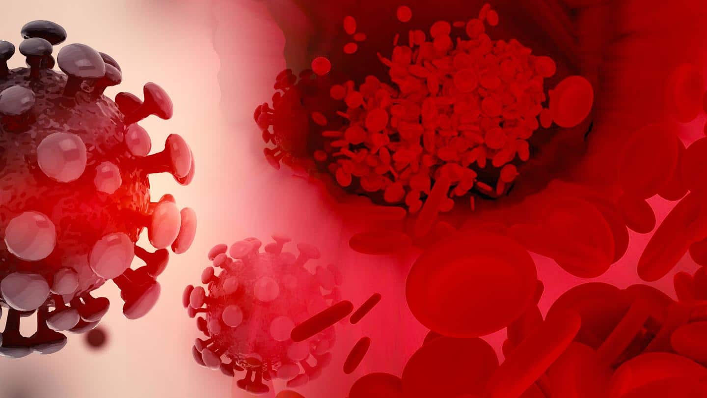 COVID-19 survivors at risk of developing serious blood clots: Study