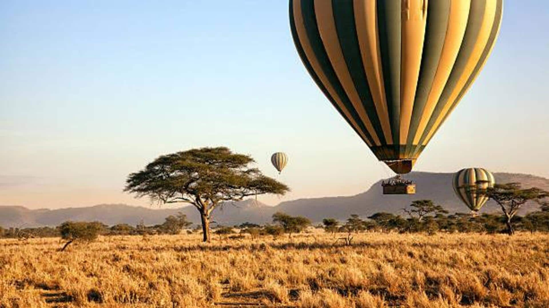 Balloon safari: Explore South Africa's wildlife from above 