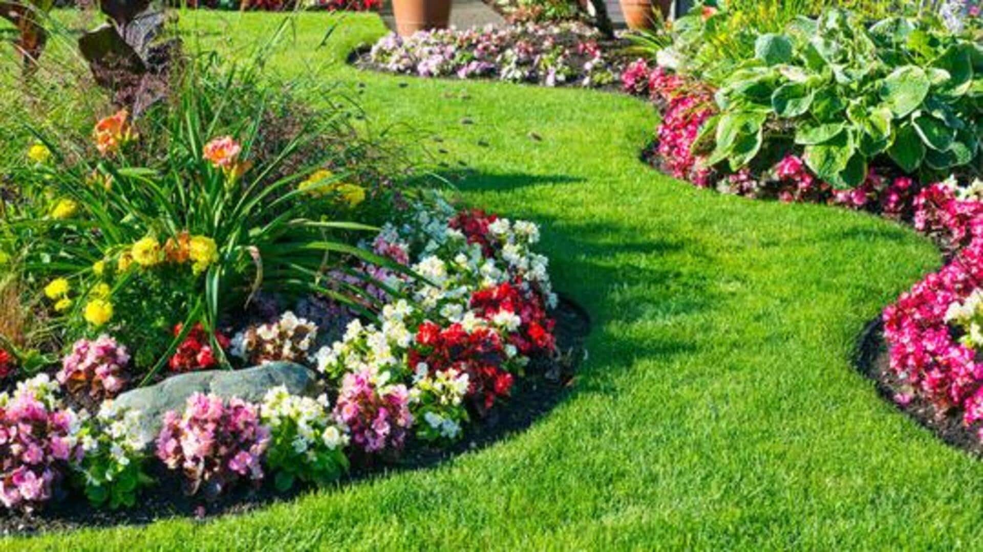5 tips to start your home garden 5 tips to start your home garden