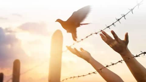 International Day of Peace: What nations lose when war happens