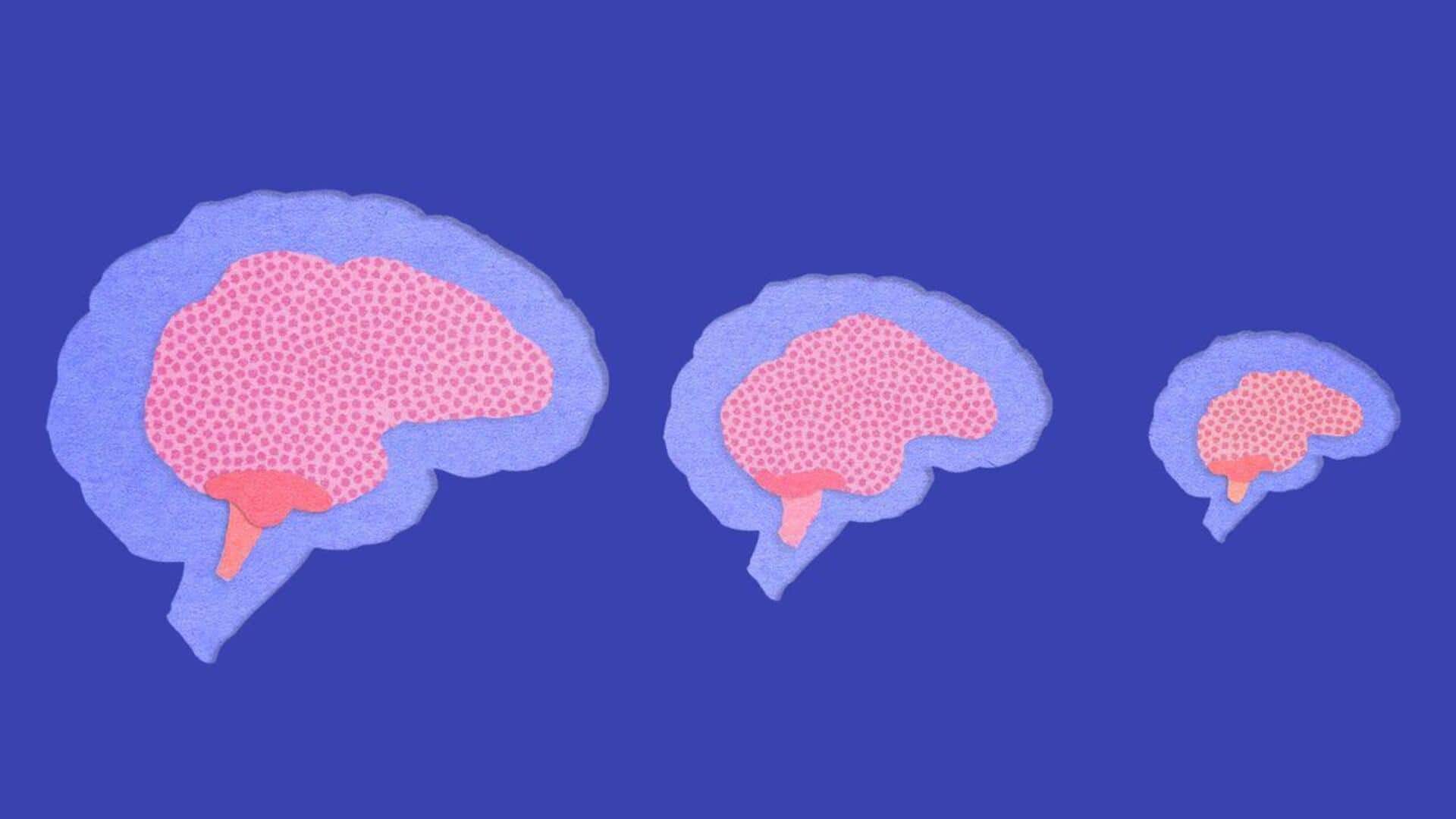 Anemic mothers give birth to children with smaller brains: Study