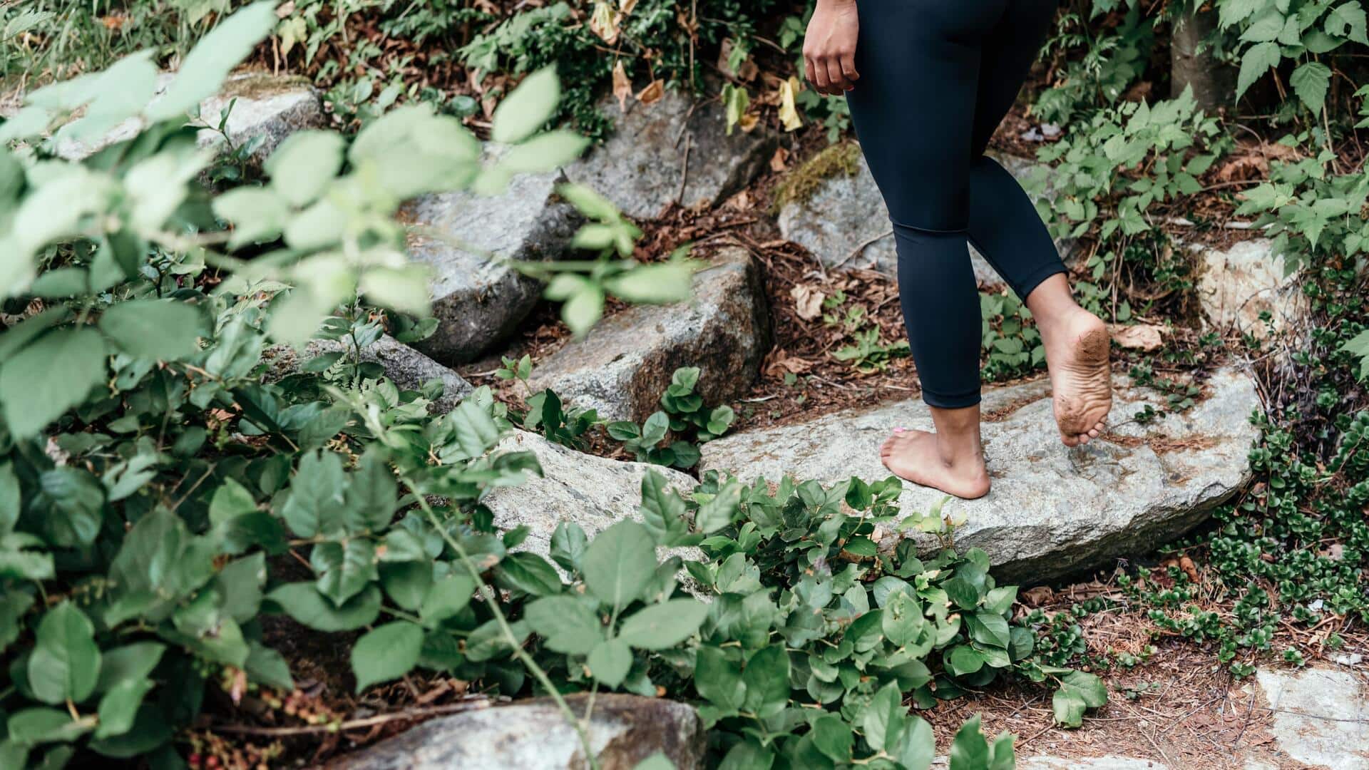 Gratitude walks: Simple habits for a happier mind