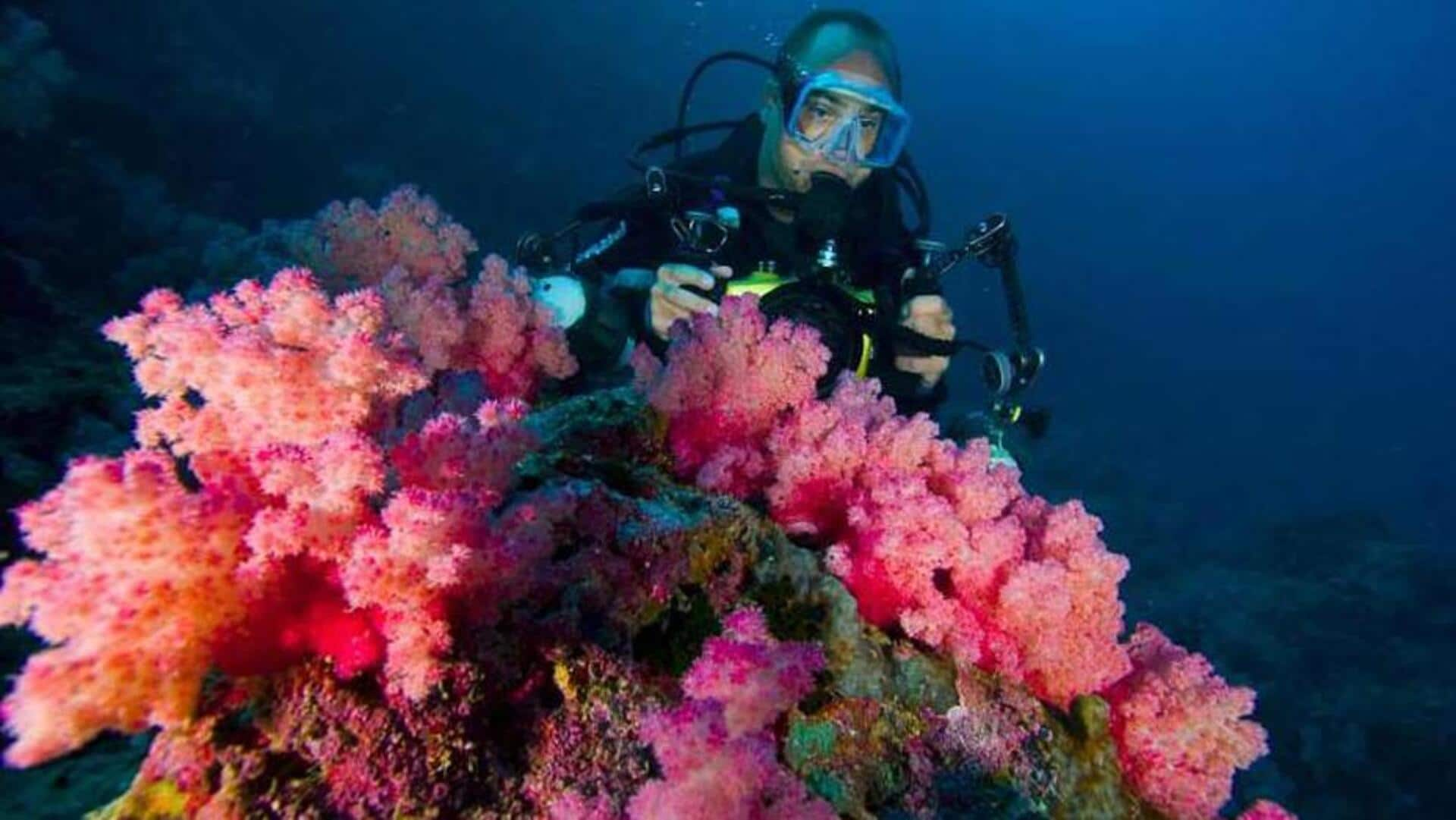 Unveiling Yap's coral caves and shaman rituals