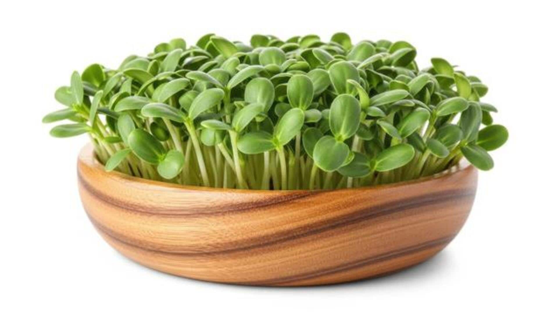 How to add sunflower microgreens to breakfast