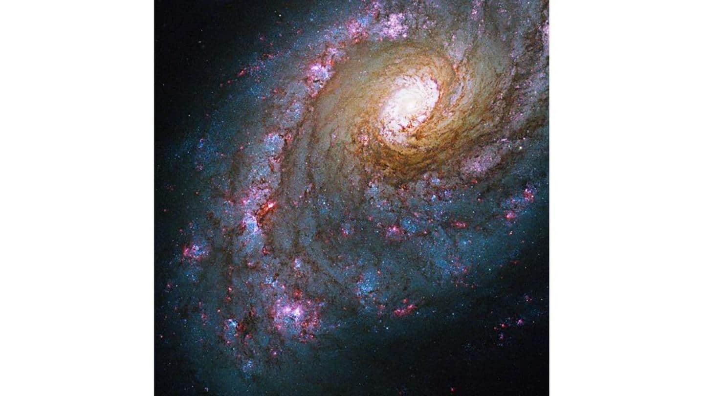 We hope that the Hubble Space Telescope is repaired soon We hope that the Hubble Space Telescope is repaired soon