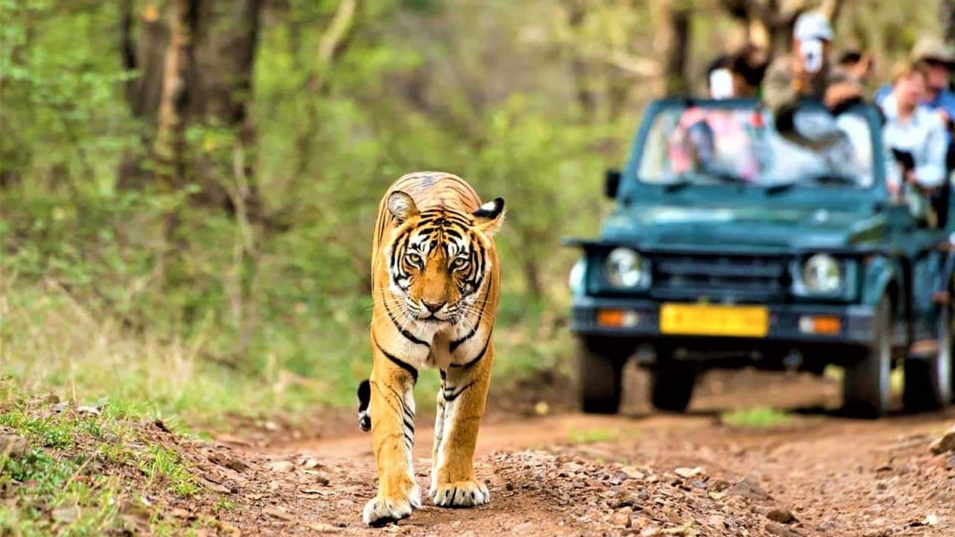 Explore the best five wildlife destinations in India