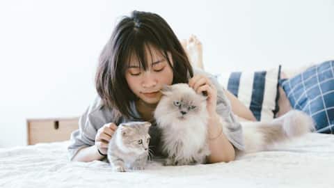 SPCA Hong Kong launches dating-style adoption app for pets