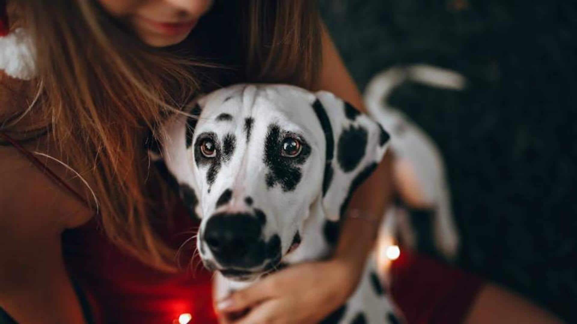 Preserve your Dalmatian's distinctive spots: Here's how