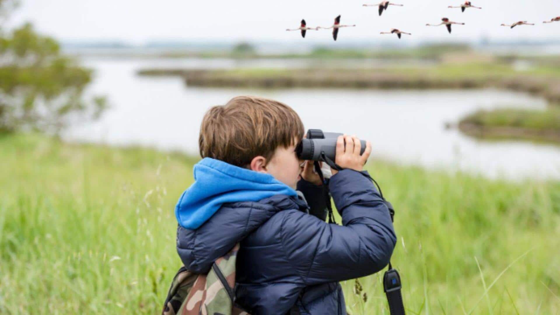 Why birdwatching is the best patience lesson for kids Why birdwatching is the best patience lesson for kids