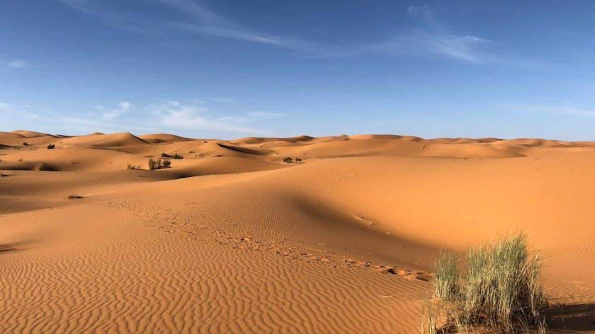 Surviving the sands: Your guide to exploring African deserts 