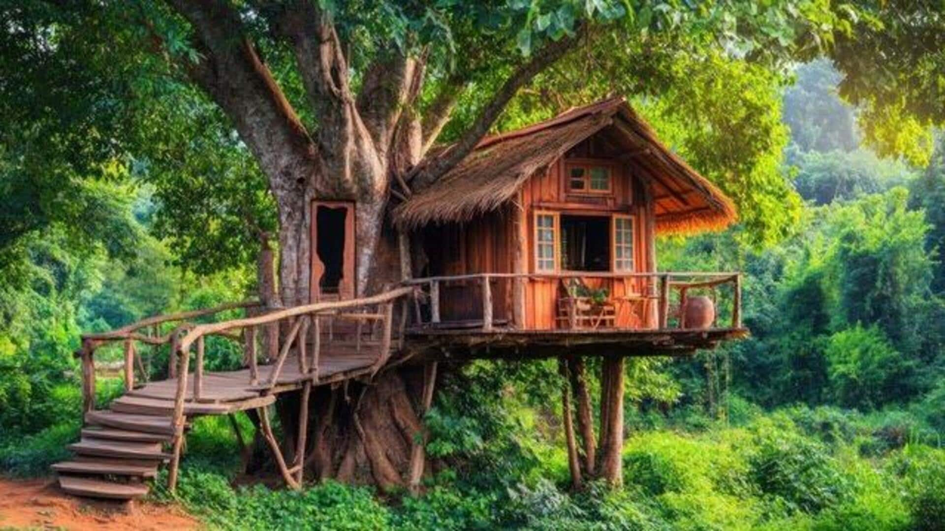 Sleep among the trees: The magic of treehouse stays Sleep among the trees: The magic of treehouse stays