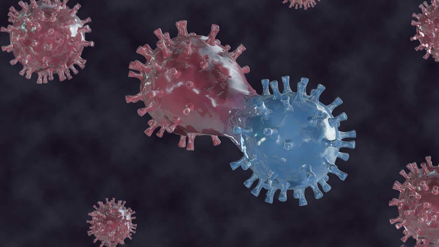 COVAXIN neutralizes against multiple variants of SARS-CoV-2: Study COVAXIN neutralizes against multiple variants of SARS-CoV-2: Study