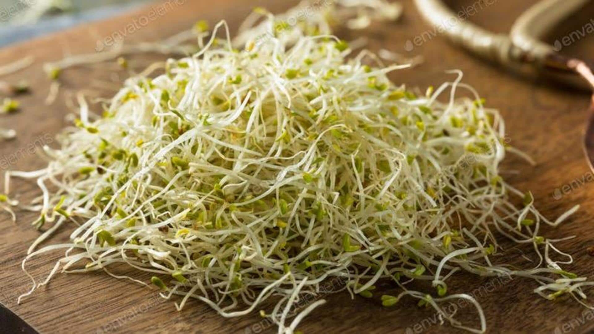 5 creative ways to use alfalfa sprouts in your meals 