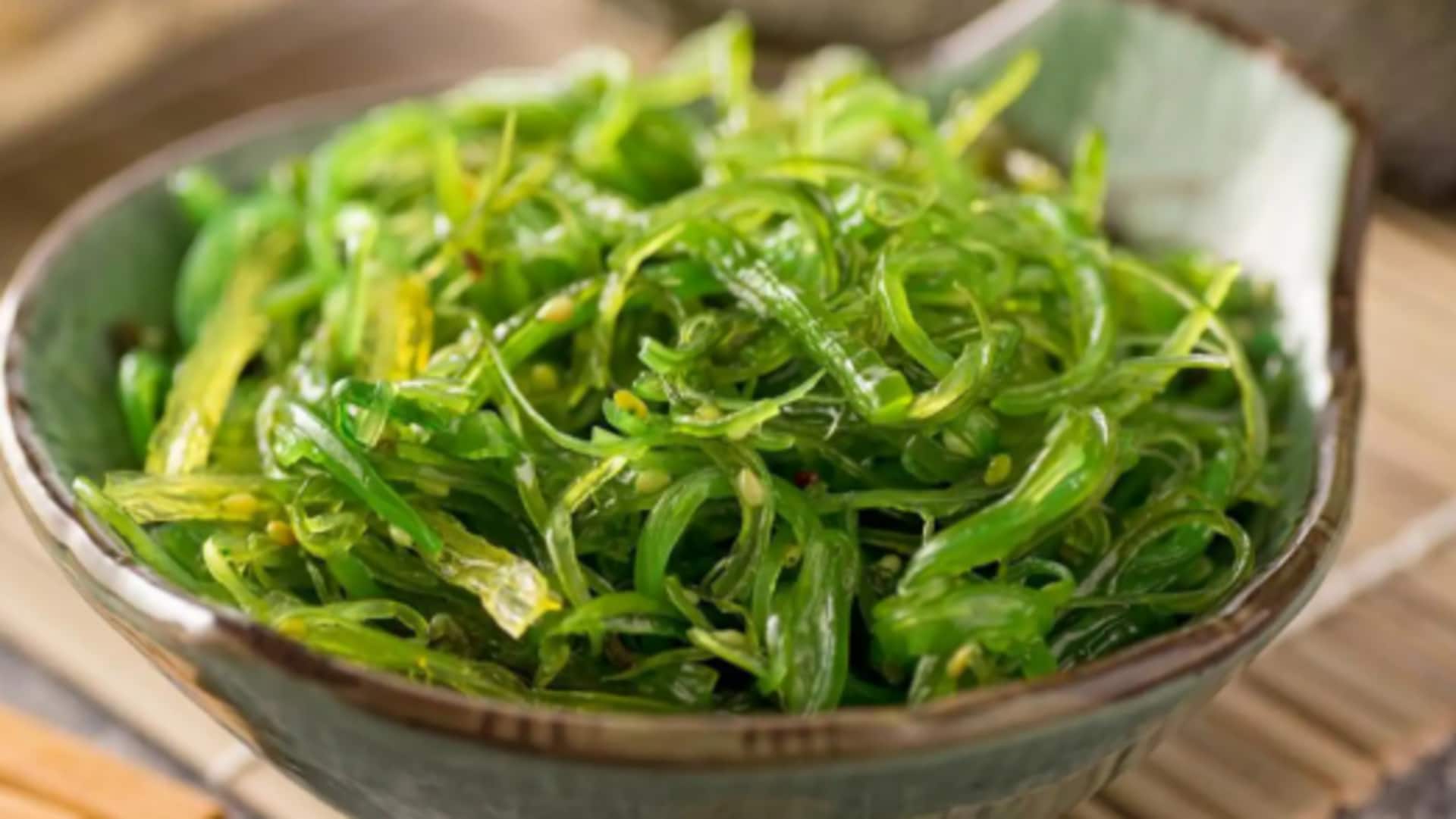 Exploring spirulina's amazing benefits Exploring spirulina's amazing benefits